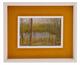 <i>Lo stagno</i>