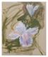 <i>Studio con fiore 2</i>