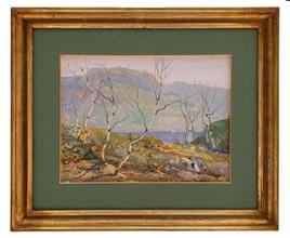 Lotto 14 - <i>Belvedere Lago d'Omegna</i>