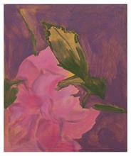 Lotto 17 - <i>Studio di fiore</i>