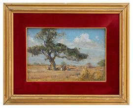 Lotto 10 - <i>Il Sicomoro della concessione</i>