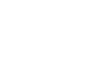 Casa d’Aste Santa Giulia